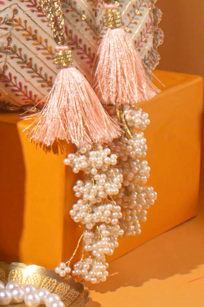 AMYRA Fiza Embroidered Wedding Favors - Set of 10