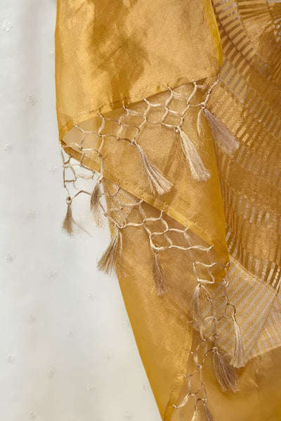 Taavi Pure Gold Tissue Dupatta