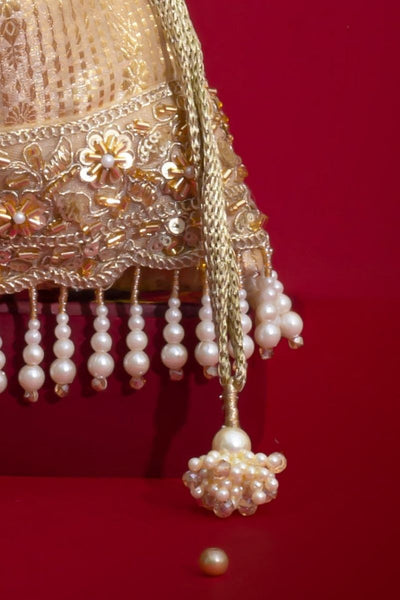 Vivaah Embellished Potli - Beige