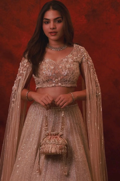Vivaah Embellished Mini Potli - Pink